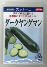 画像: 送料無料　[ズッキーニ]　ダークヤングマン　100粒　(株)サカタのタネ