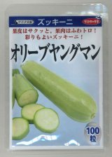 画像: 送料無料　[ズッキーニ]　オリーブヤングマン　100粒　(株)サカタのタネ