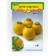 画像1: 送料無料　[ズッキーニ]　パリーノシリーズ　10粒　ジャッロ　トキタ種苗(株) (1)