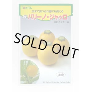 画像: 送料無料　[ズッキーニ]　パリーノシリーズ　10粒　ジャッロ　トキタ種苗(株)