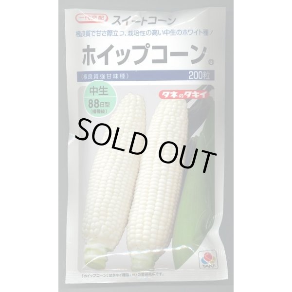 画像1: 送料無料　[とうもろこし]　ホイップコーン　200粒　タキイ種苗 (1)