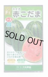 画像: 送料無料　[スイカ]　小玉スイカ　赤こだま西瓜　200粒　大和農園