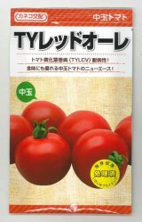 画像: 送料無料　[トマト/中玉トマト]　TYレッドオーレ　1000粒　カネコ交配