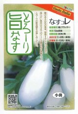 画像: 送料無料　[なす]　とろーり旨なす(揚げてトルコ)　20粒　トキタ種苗(株)