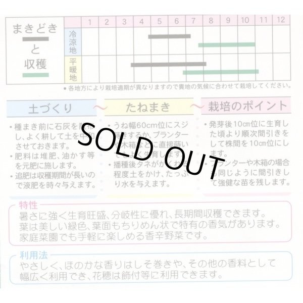 画像2: 送料無料　[葉物]　青ちりめんしそ　8ml　(株)タカヤマシード (2)