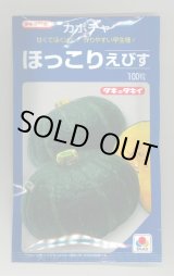 画像: 送料無料　[かぼちゃ]　ほっこりえびす　100粒　タキイ種苗(株)