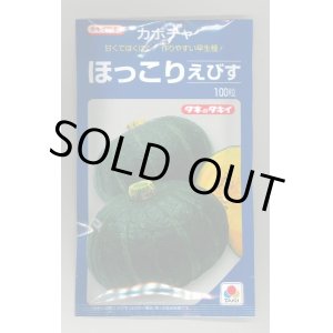 画像: 送料無料　[かぼちゃ]　ほっこりえびす　100粒　タキイ種苗(株)