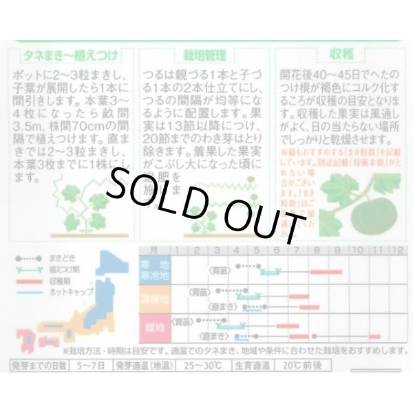 画像2: 送料無料　[かぼちゃ]　メルヘン　約10粒　(株)サカタのタネ　実咲450（002867） (2)