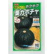 画像1: 送料無料　[かぼちゃ]　メルヘン　約10粒　(株)サカタのタネ　実咲450（002867） (1)