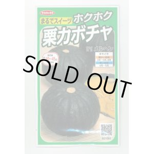 画像: 送料無料　[かぼちゃ]　メルヘン　約10粒　(株)サカタのタネ　実咲400（002867）