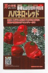 画像: 送料無料　[とうがらし]　ハバネロ・レッド　30粒　トキタ種苗(株)