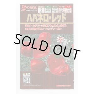 画像: 送料無料　[とうがらし]　ハバネロ・レッド　30粒　トキタ種苗(株)