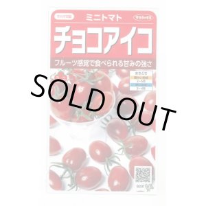 画像: 送料無料　[トマト/ミニトマト]　チョコアイコ　13粒　(株)サカタのタネ　実咲550（003244）