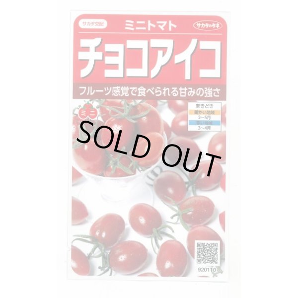 画像1: 送料無料　[トマト/ミニトマト]　チョコアイコ　13粒　(株)サカタのタネ　実咲550（003244） (1)