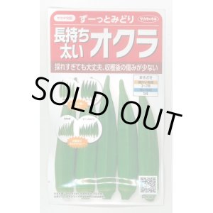 画像: 送料無料　[オクラ]　ずーっとみどり　約40粒　(株)サカタのタネ　実咲350（003253）