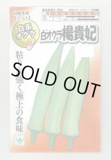 画像: 送料無料　[オクラ]　白おくら　楊貴妃　50粒　SANYO植物バイオ研究所