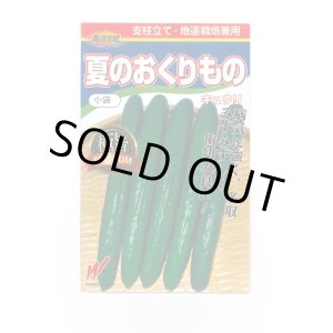 画像: 送料無料　[キュウリ]　夏のおくりもの　20粒　渡辺交配