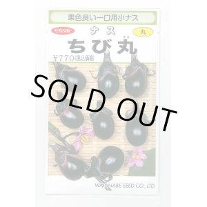 画像: 送料無料　[なす]　一口小茄子　ちび丸　0.6ml(およそ60粒)　(株)渡辺採種場