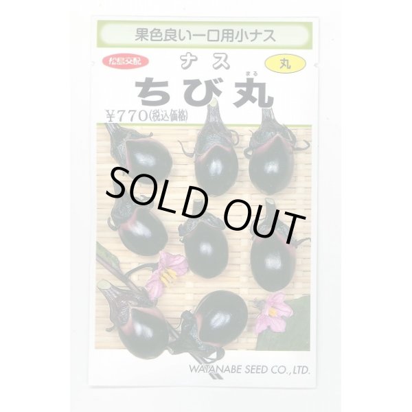 画像1: 送料無料　[なす]　一口小茄子　ちび丸　0.6ml(およそ60粒)　(株)渡辺採種場 (1)