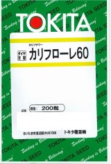 画像: 送料無料　[イタリア野菜]　カリフローレ60　200粒　トキタ種苗(株)