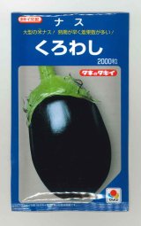 画像: 送料無料　[なす]　くろわし　2000粒　タキイ種苗(株)