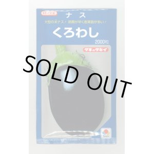 画像: 送料無料　[なす]　くろわし　2000粒　タキイ種苗(株)