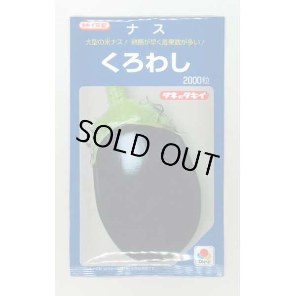 画像1: 送料無料　[なす]　くろわし　2000粒　タキイ種苗(株) (1)