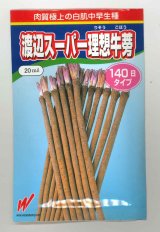 画像: 送料無料　[牛蒡]　渡辺スーパー理想　1L　渡辺農事