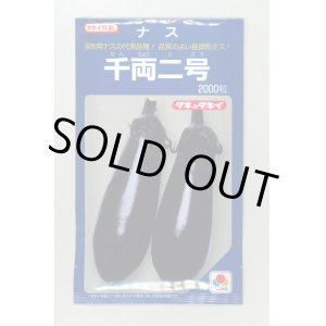 画像: 送料無料　[なす]　千両二号　2000粒　タキイ種苗(株)