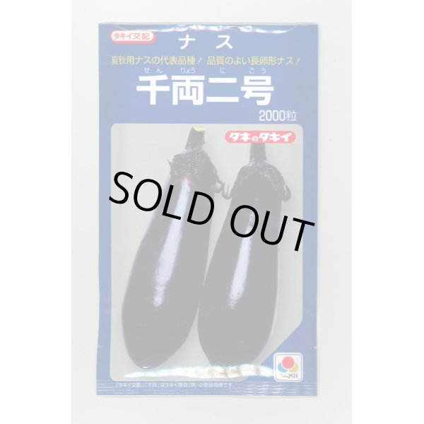 画像1: 送料無料　[なす]　千両二号　2000粒　タキイ種苗(株) (1)