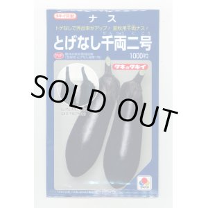 画像: 送料無料　[なす]　とげなし千両二号　1000粒　タキイ種苗(株)