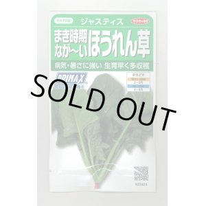 画像: 送料無料　[ほうれんそう]　ジャスティス　約900粒　(株)サカタのタネ　実咲350（003014）