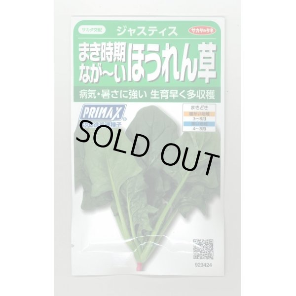 画像1: 送料無料　[ほうれんそう]　ジャスティス　約900粒　(株)サカタのタネ　実咲350（003014） (1)