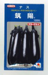 画像: 送料無料　[なす]　筑陽　1000粒　タキイ種苗(株)