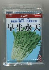 画像: 送料無料　[葉物]　みず菜　早生水天　2dL　(株)サカタのタネ