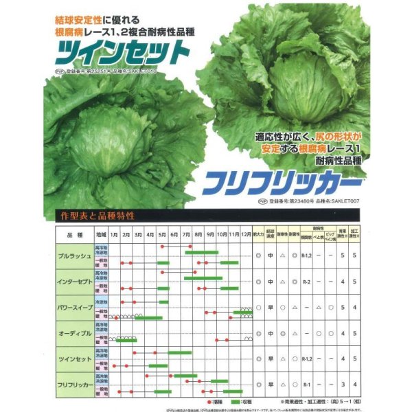 画像4: 送料無料　[レタス]　フリフリッカー　ペレット150粒　（株）サカタのタネ (4)