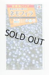 画像: 送料無料　花の種　お徳用パック！ネモフィラ　インシグニスブルー　5ml　タキイ種苗(株)