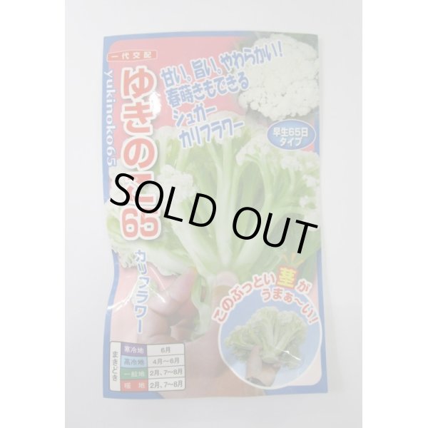 画像1: 送料無料　[カリフラワー]　ゆきのこ65　40粒　ナント種苗(株) (1)