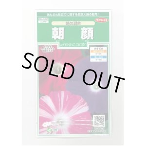 画像: 送料無料　花の種　朝顔　暁の混合　小袋　(株)サカタのタネ　実咲250（026192）