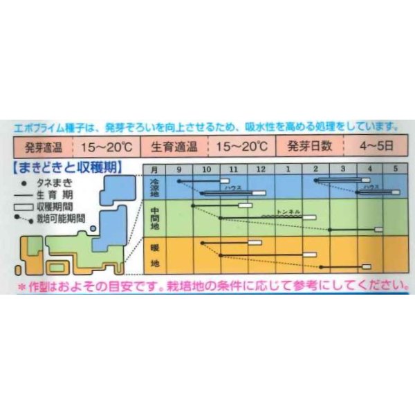 画像4: 送料無料　[ほうれんそう]　寒兵衛　40ml　タキイ種苗(株)　RF (4)