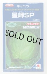 画像: 送料無料　[キャベツ]　星岬SP　2000粒　貴種(コートしてません)　タキイ種苗(株)