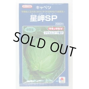 画像: 送料無料　[キャベツ]　星岬SP　2000粒　貴種(コートしてません)　タキイ種苗(株)