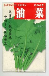 画像: 送料無料　[葉物]　油菜　8ml　(株)タカヤマシード