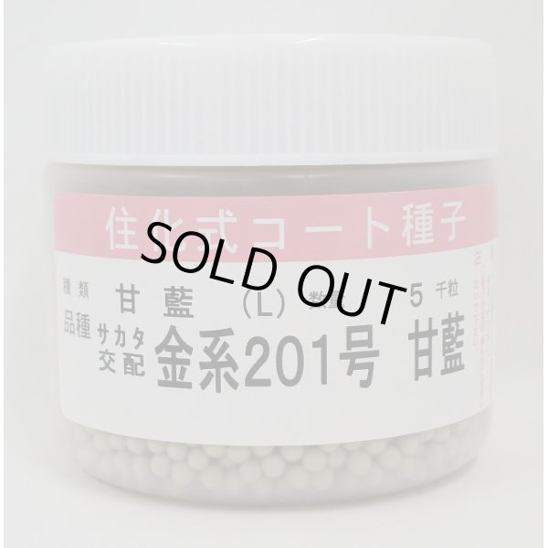 画像1: 送料無料　[キャベツ]　金系201号　コート5000粒　（株）サカタのタネ (1)