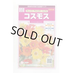 画像: 送料無料　花の種　コスモス　キャンパス　ブライトカラーミックス　約100粒　(株)サカタのタネ　実咲350（026104）