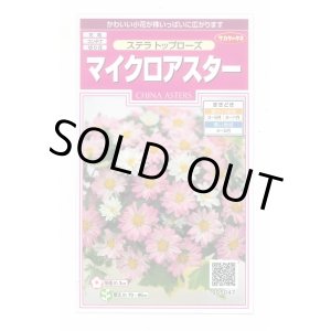 画像: 送料無料　花の種　マイクロアスター　ステラトップローズ　小袋　(株)サカタのタネ　実咲350（026091）