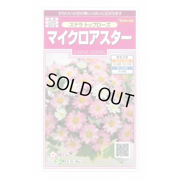 画像1: 送料無料　花の種　マイクロアスター　ステラトップローズ　小袋　(株)サカタのタネ　実咲350（026091） (1)