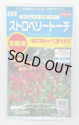 画像: 送料無料　花の種　クリムゾンクローバー　ストロベリートーチ　約6平米用　(株)サカタのタネ　実咲350（027360）