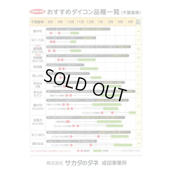 画像3: 送料無料　[大根]　夏の守　ペレット5000粒　(株)サカタのタネ (3)