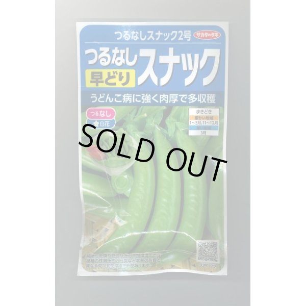 画像1: 送料無料　[えんどう]　つるなしエンドウ　スナック2号　約55粒　(株)サカタのタネ　実咲350（003135） (1)